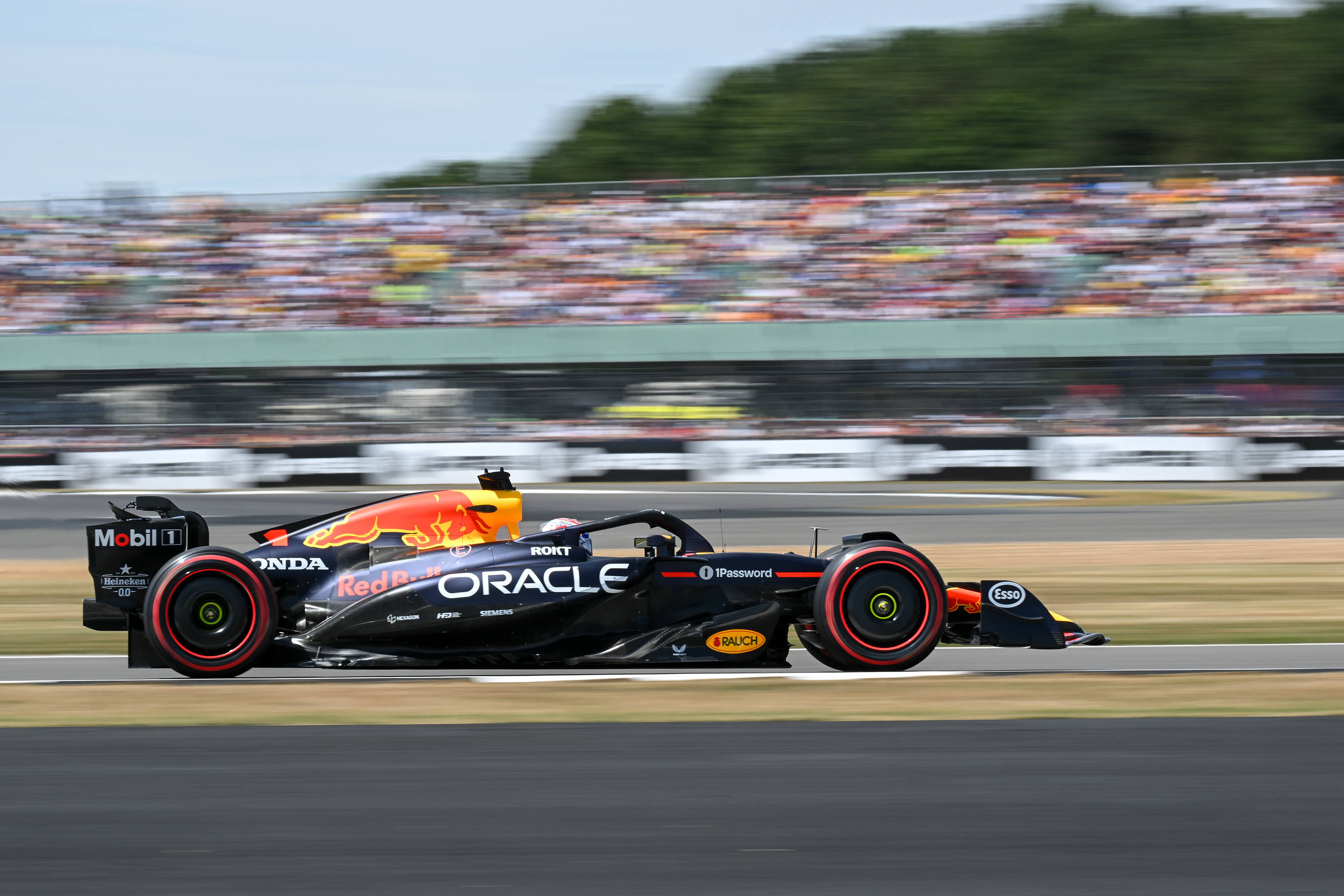 开云网页版-红牛车队力克哈斯车队，塞恩斯刷新纪录